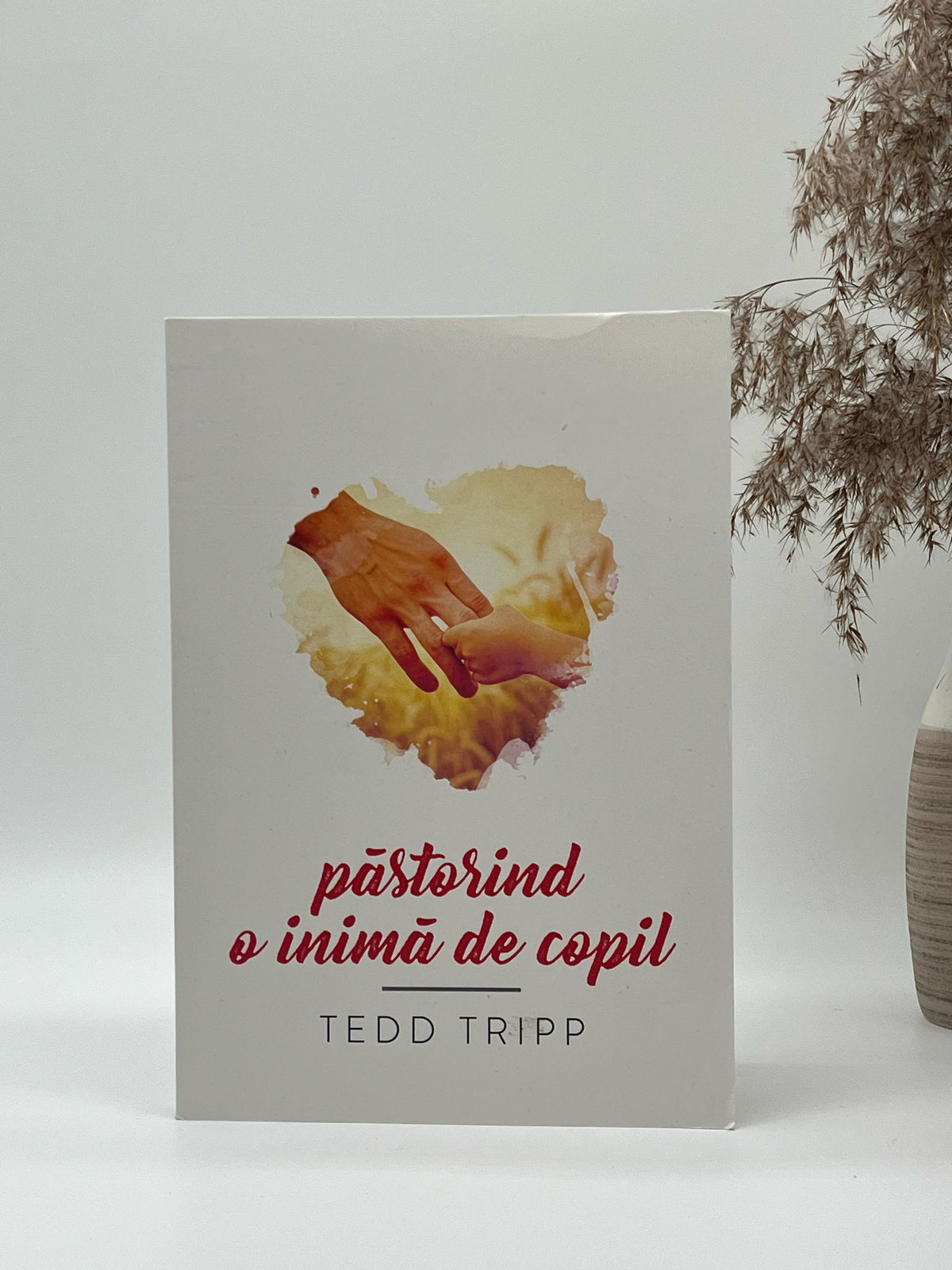 Păstorind o inimă de copil. Editia a II-a - Tedd Tripp