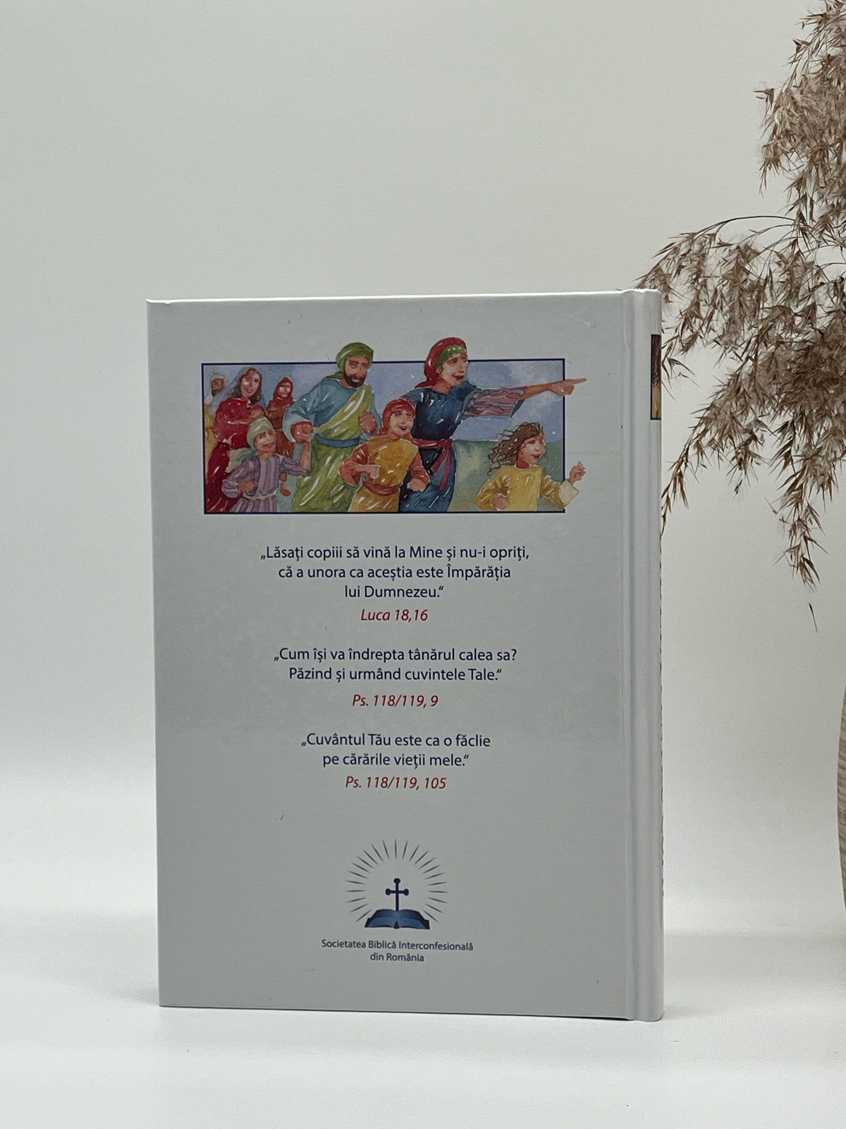 Biblia pentru copii - Istoria mântuirii lumii - Pat Alexander si ilustratii de Carolyn Cox