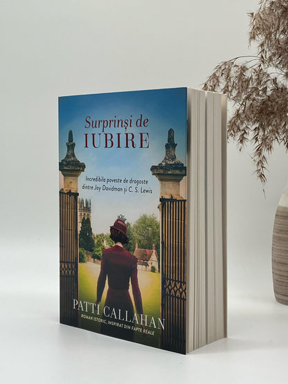 Surprinși de iubire - Patti Callahan