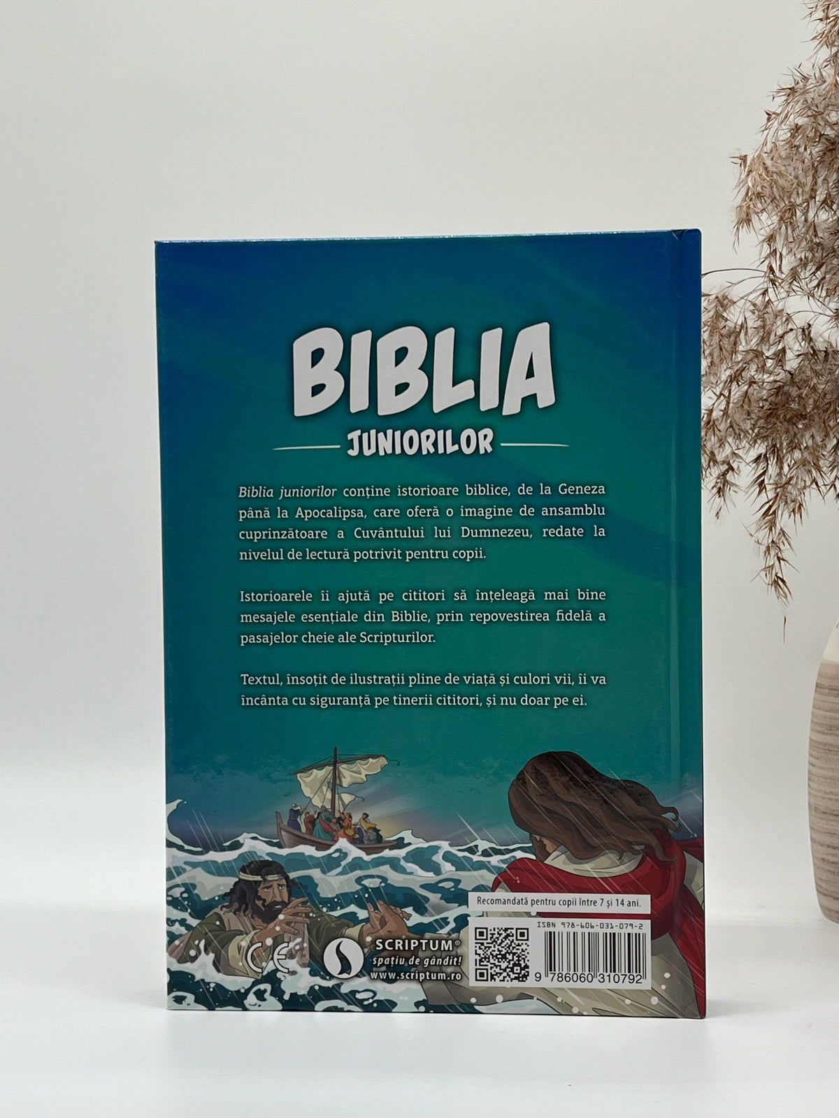 Biblia juniorilor - Andrew Newton