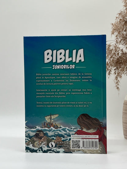 Biblia juniorilor - Andrew Newton