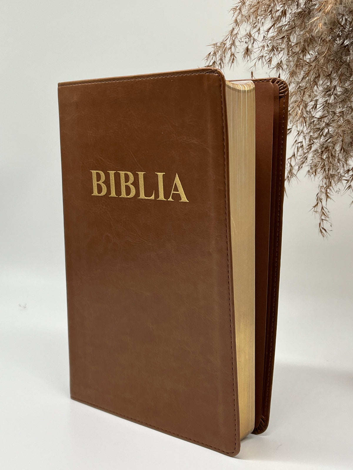 Biblia SBR 073 - diverse culori