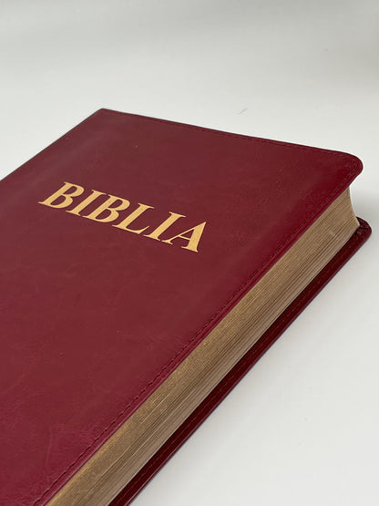 Biblia SBR 073 - diverse culori