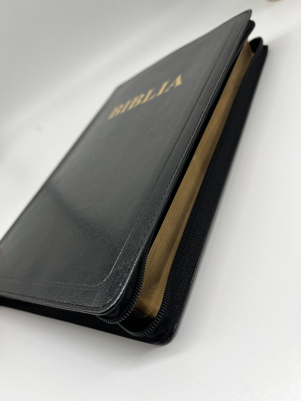 Biblia SBR ICAM 083 ZG